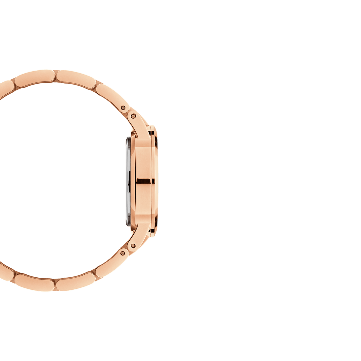 Iconic Link 玫瑰金全單色不鏽鋼手錶
